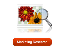 Marketing Research